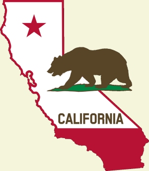Proposition 65 illustration graphic with California and bear